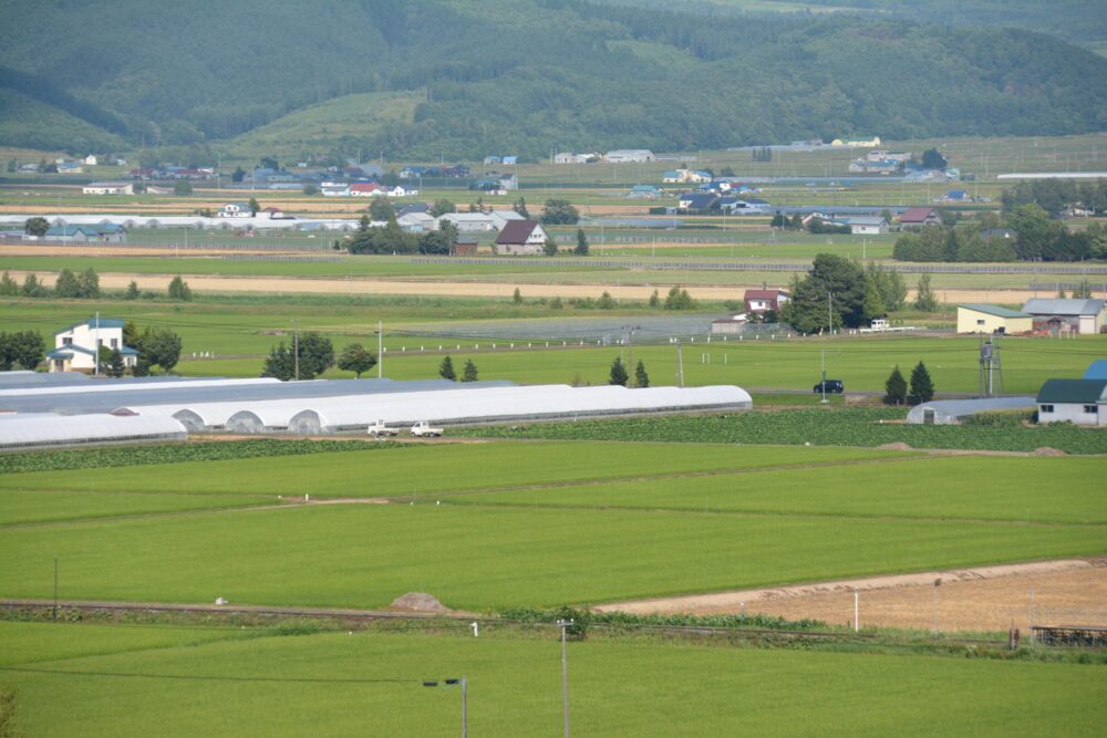 富良野の田園風景