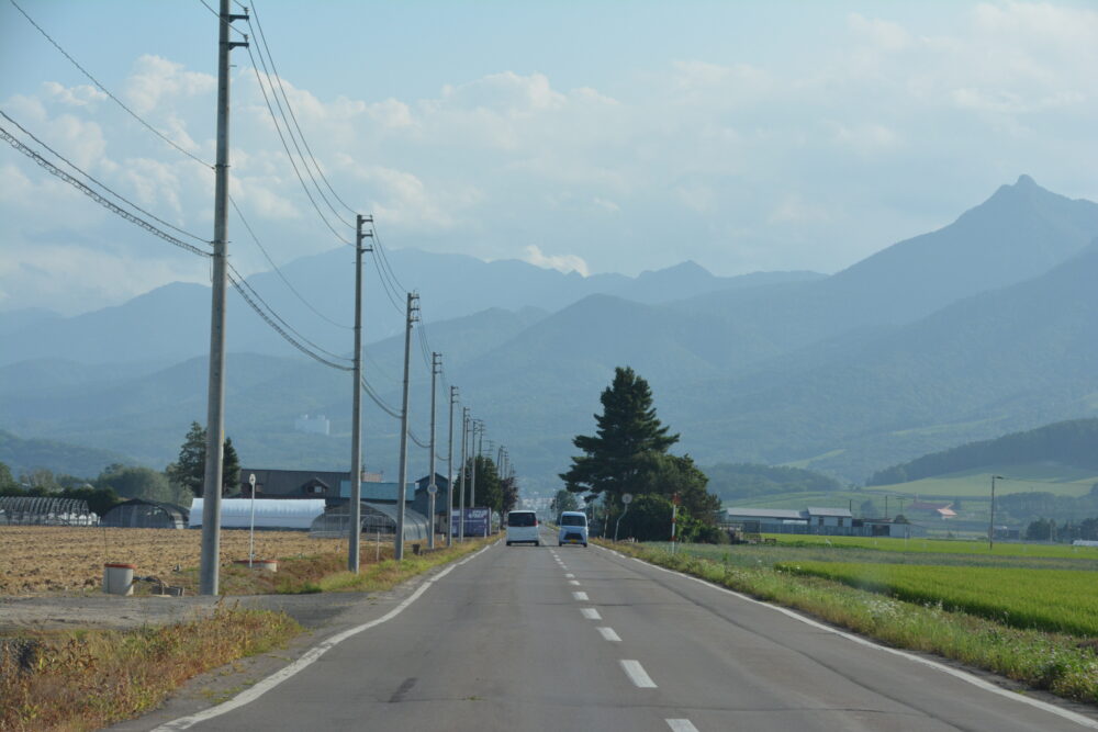 富良野の道