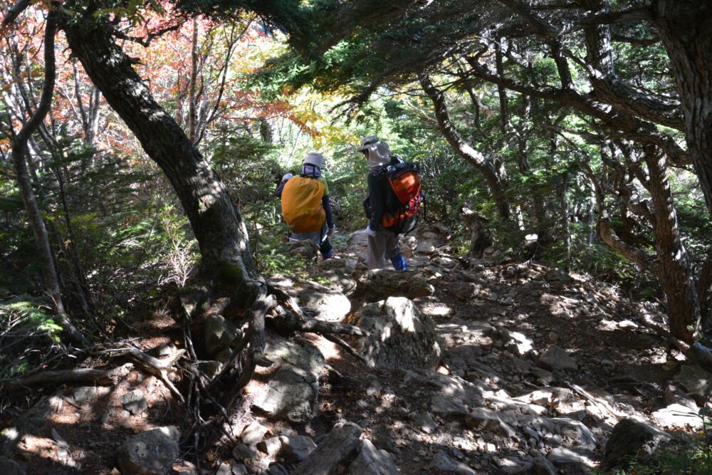 甲斐駒ヶ岳を下る登山者