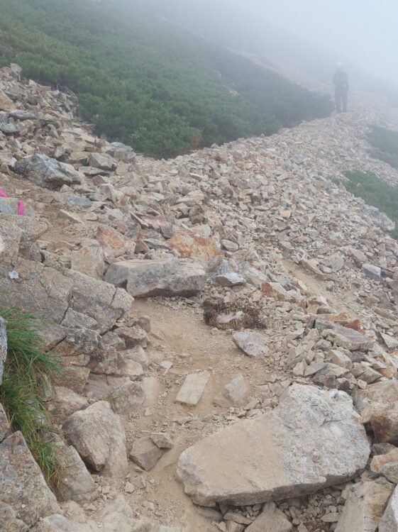 五竜岳の登山道で砂浴びするライチョウ