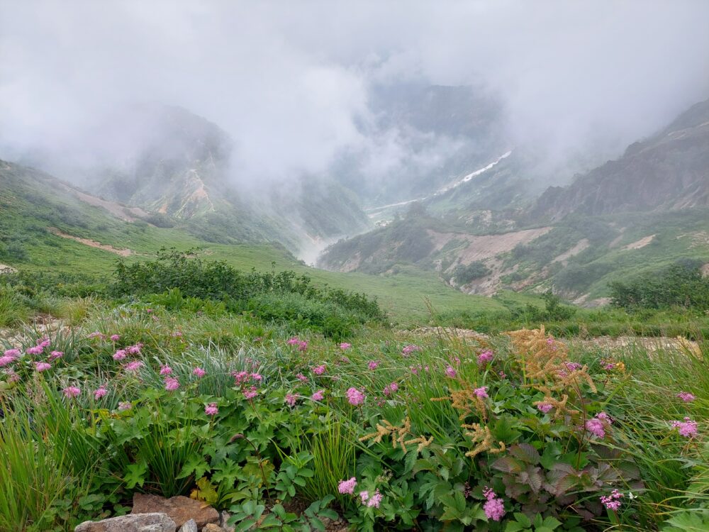 お花畑と谷