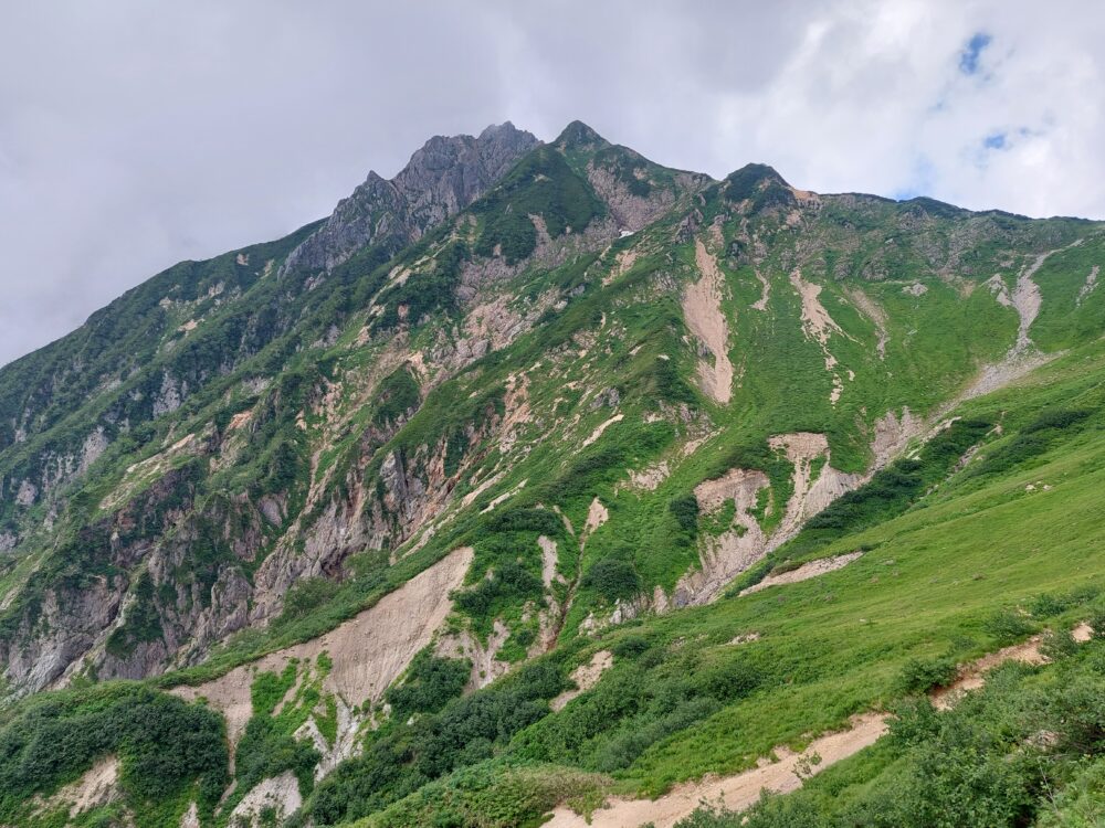 遠見尾根から見た五竜岳