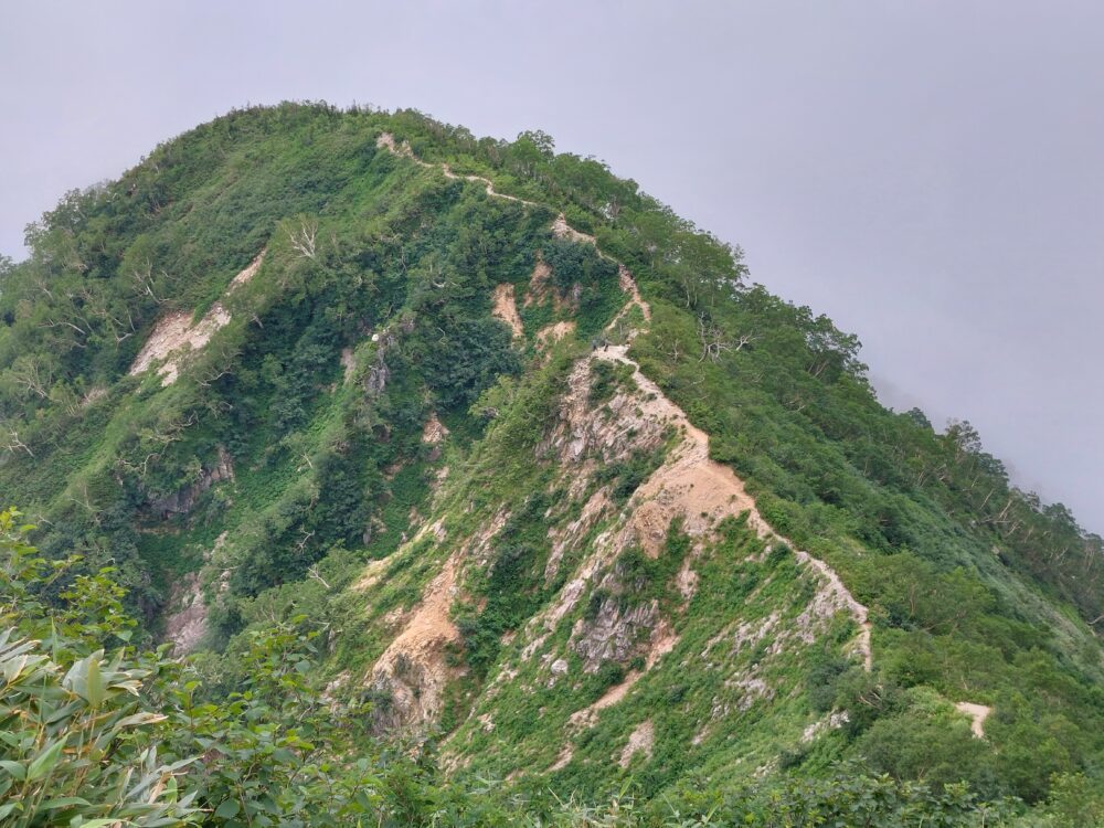 遠見尾根の登山道