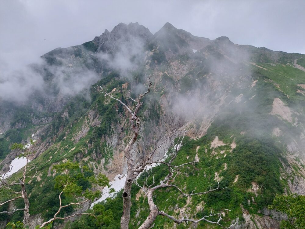 遠見尾根から見た五竜岳