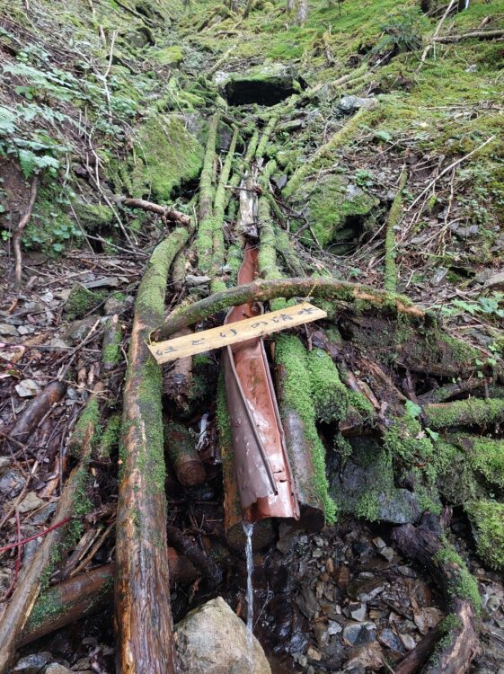 塩見岳登山道のほとけの清水