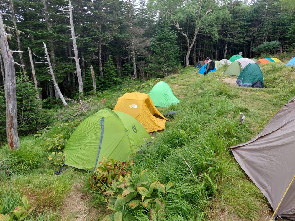 三伏峠小屋のテント場