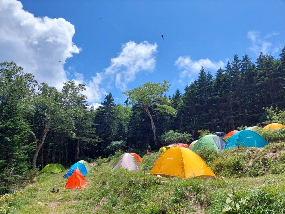 三伏峠小屋のテント場とトンボ