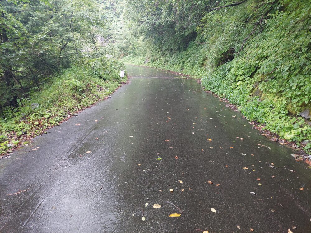 雨の鳥倉林道