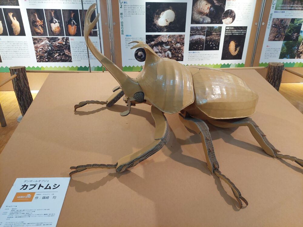 ぐんま昆虫の森・昆虫観察館のカブト・クワガタ展