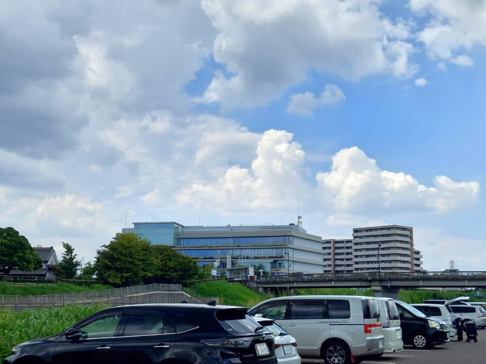 いろは親水公園の臨時駐車場から見た志木市役所