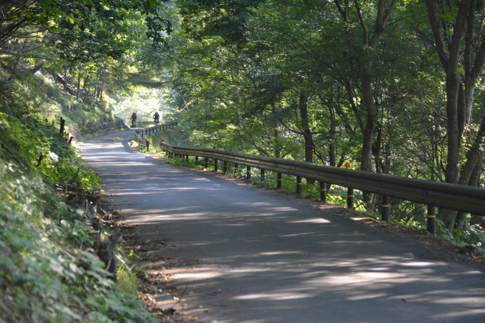 鳥倉林道