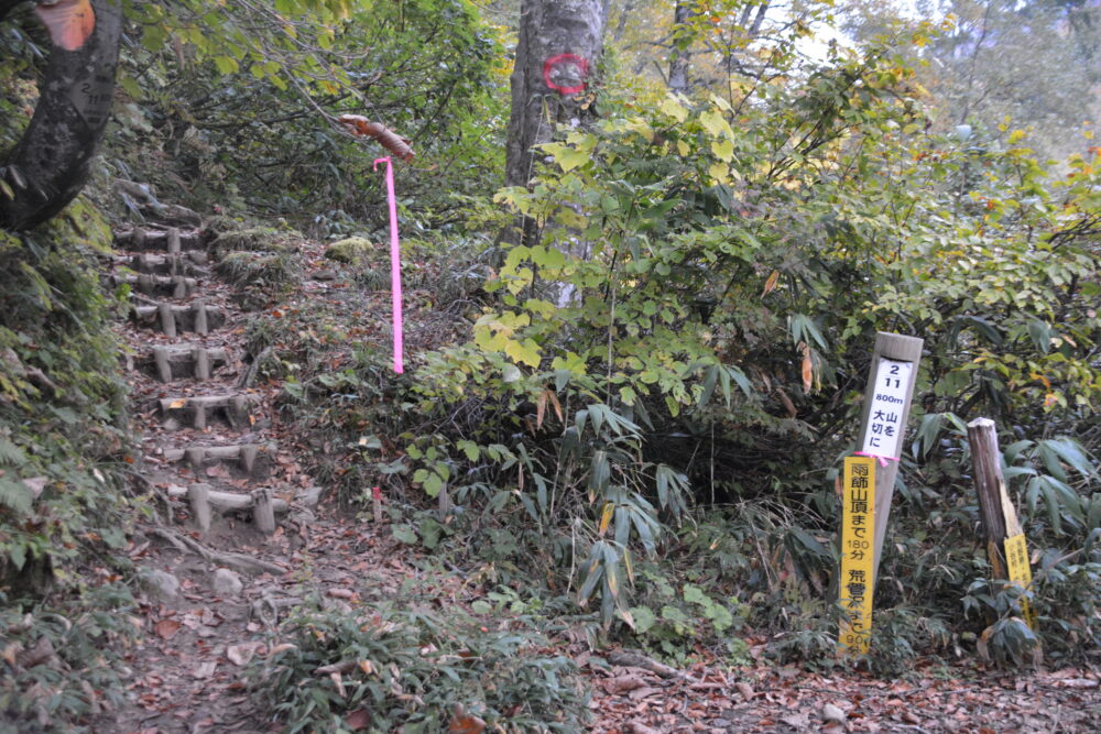 雨飾山の登山道