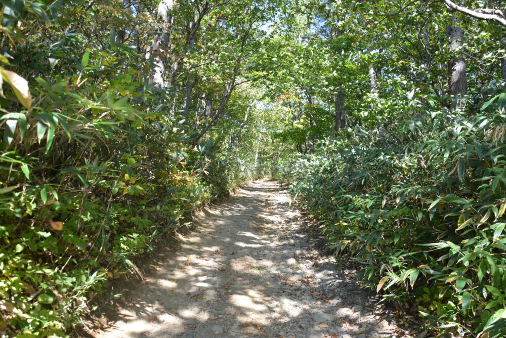 安達太良山の登山道