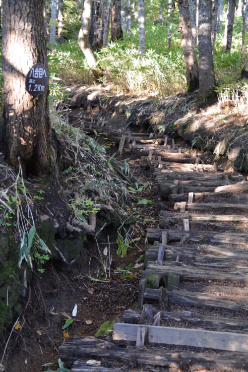 御嶽山の登山道