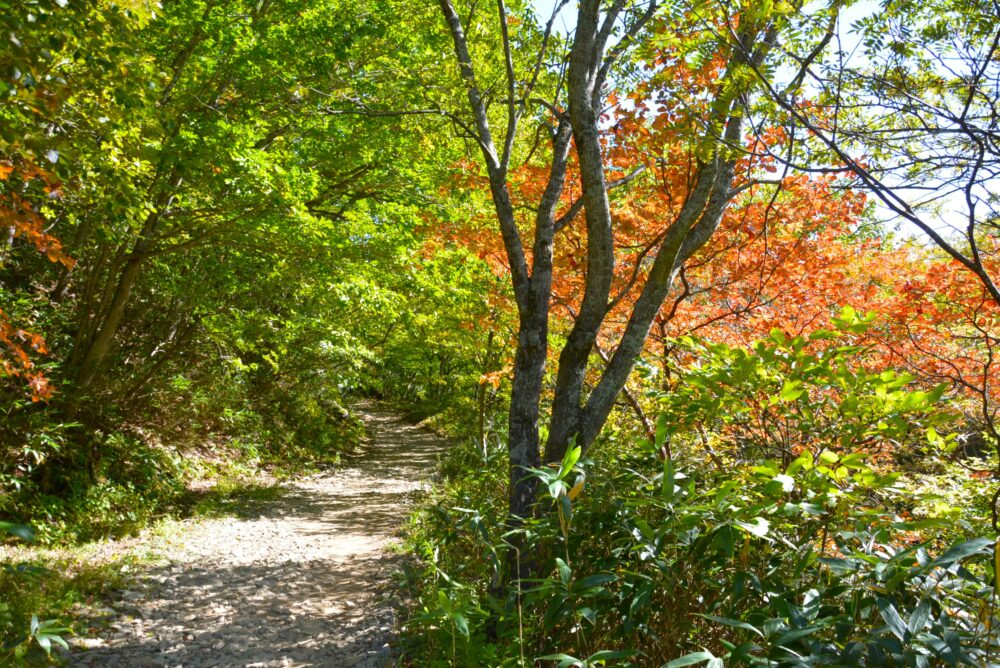 紅葉の安達太良山の登山道