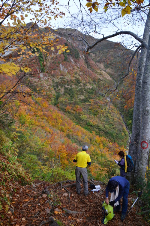 雨飾山の紅葉