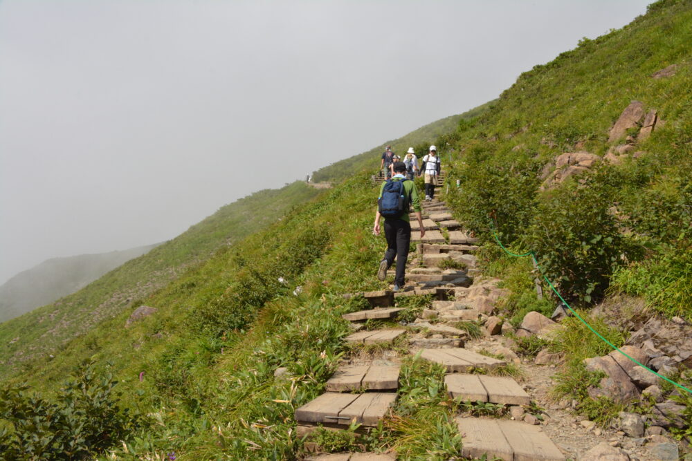 八方尾根の登山道