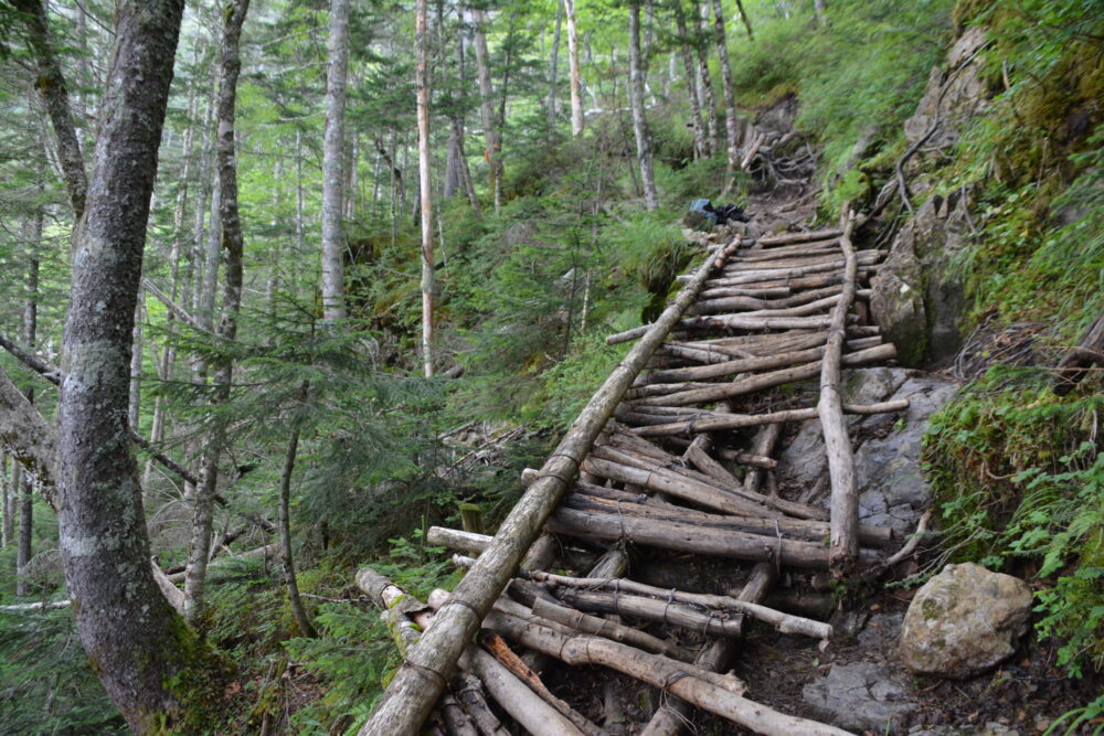 塩見岳登山道の木道