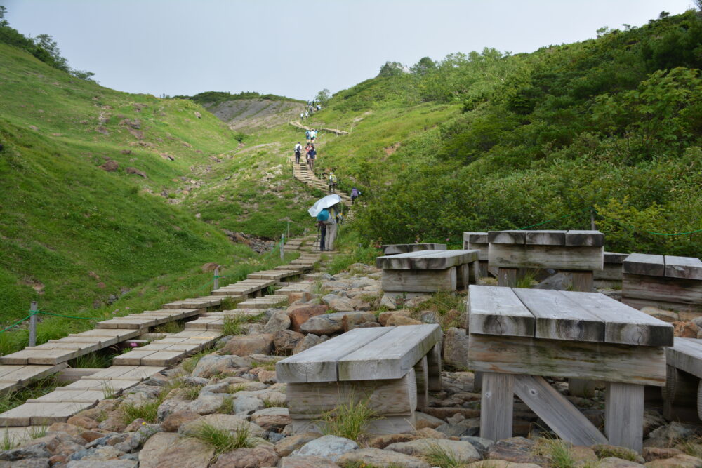 整備された八方尾根の登山道