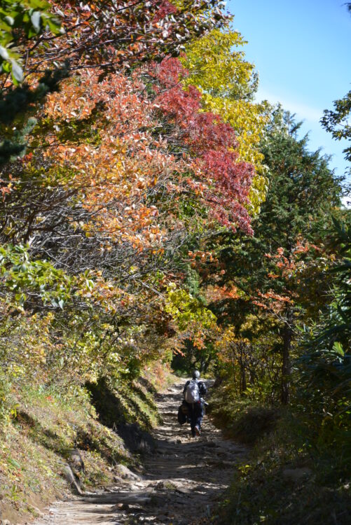 安達太良山の紅葉