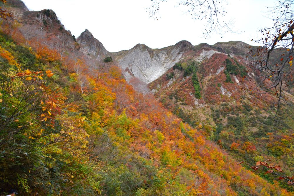 雨飾山の紅葉