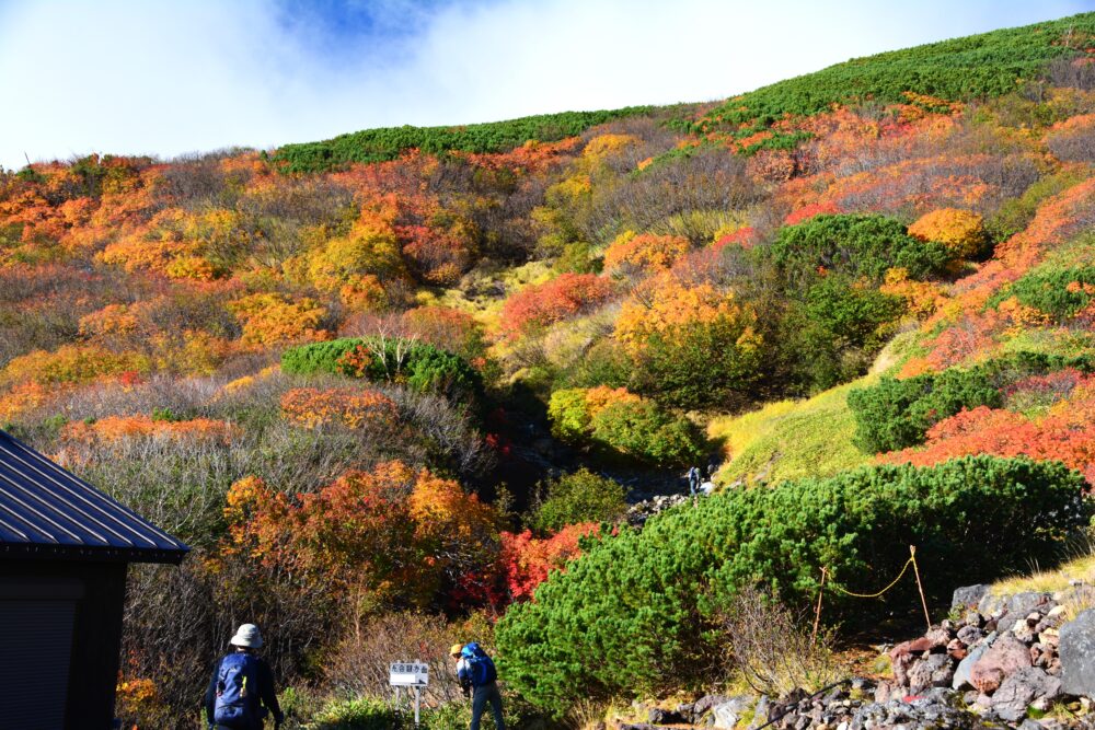 御嶽山の紅葉