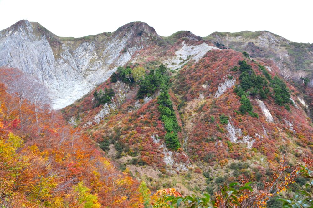 雨飾山の紅葉