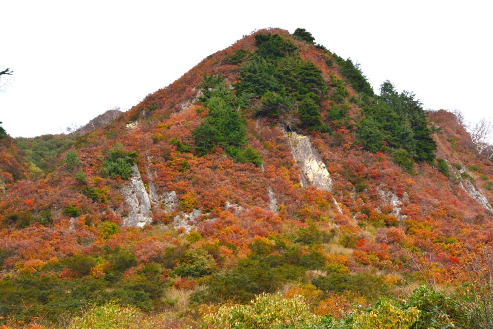 雨飾山の紅葉