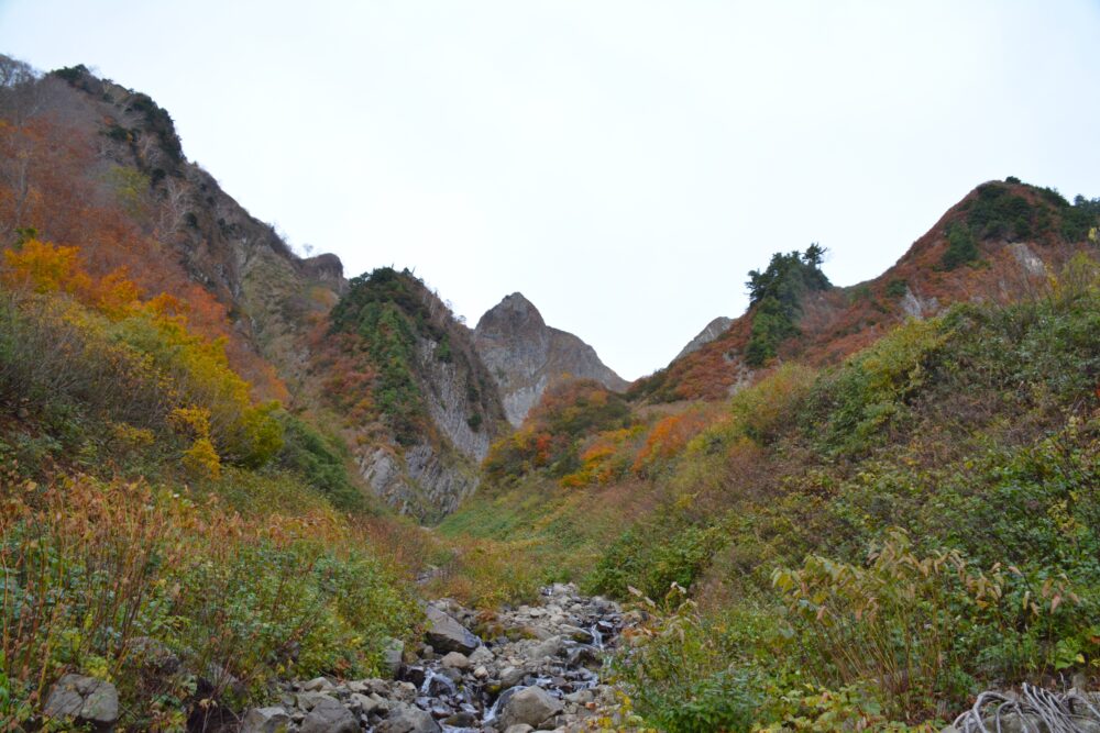 雨飾山の荒菅沢から見る景色