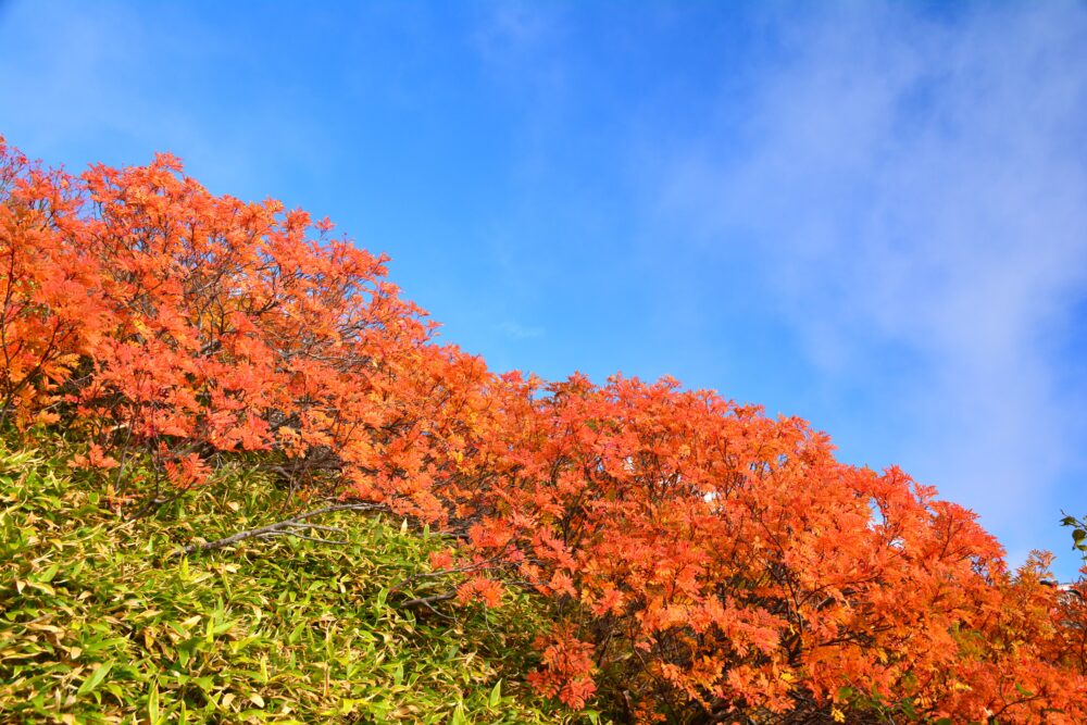 御嶽山の紅葉