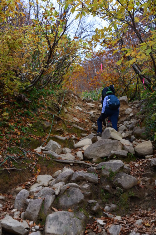 雨飾山の登山道