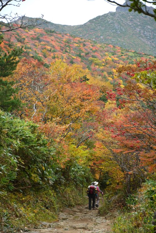 安達太良山の紅葉