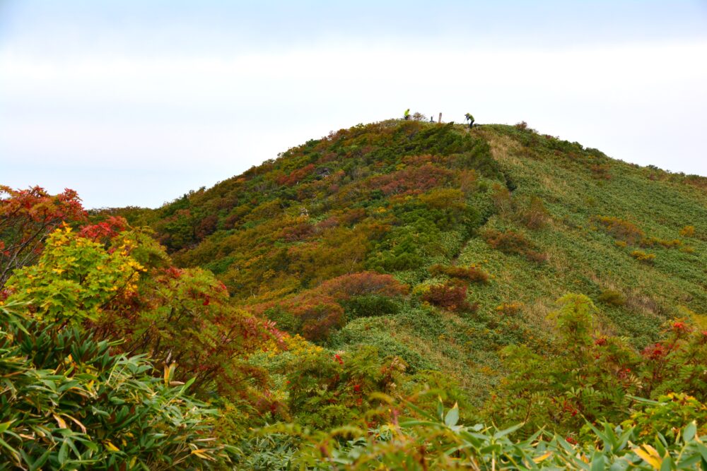 越後駒ヶ岳山頂部の紅葉