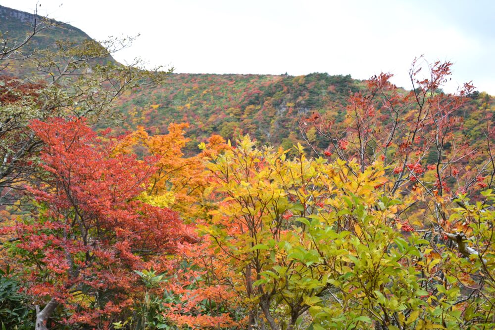 安達太良山の紅葉