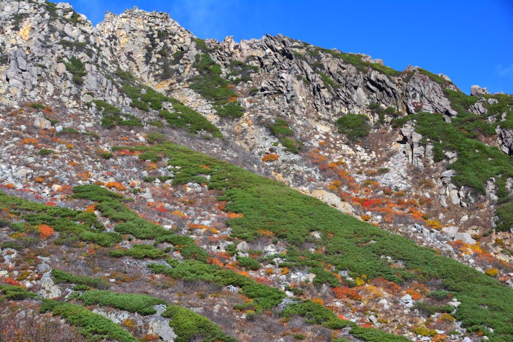 御嶽山の山肌