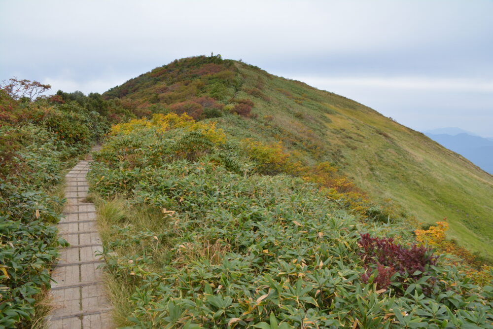 越後駒ヶ岳山頂部の紅葉