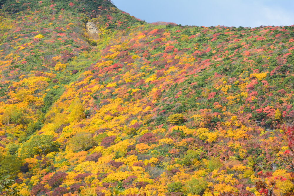 安達太良山の紅葉