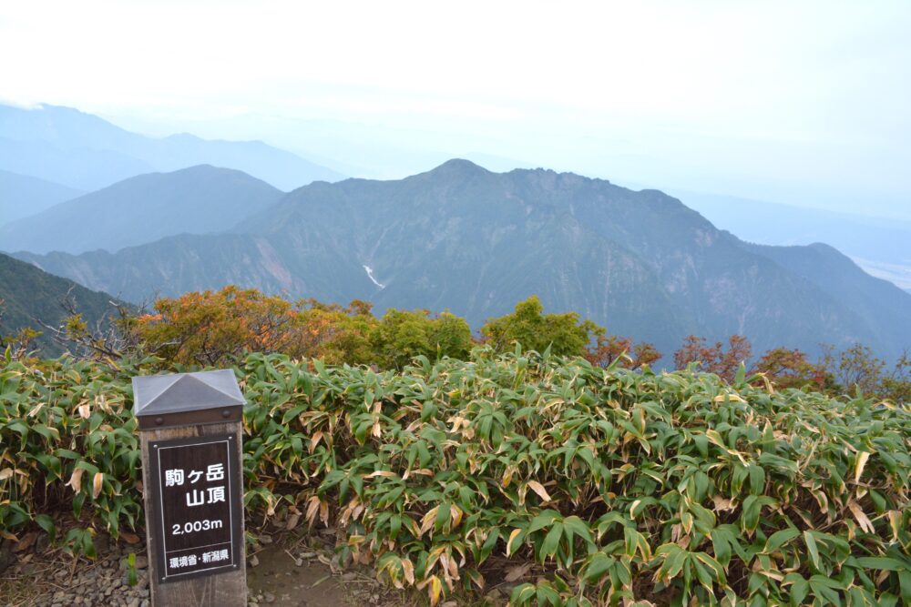 越後駒ヶ岳山頂から見る鳥海山