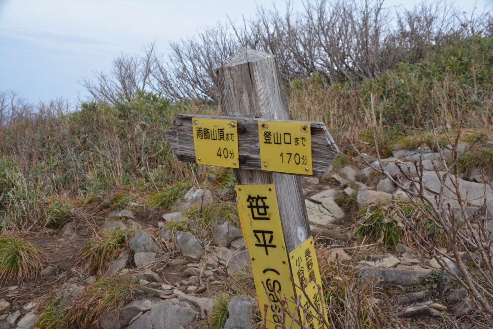 雨飾山の笹平