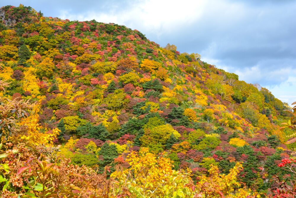 安達太良山の紅葉