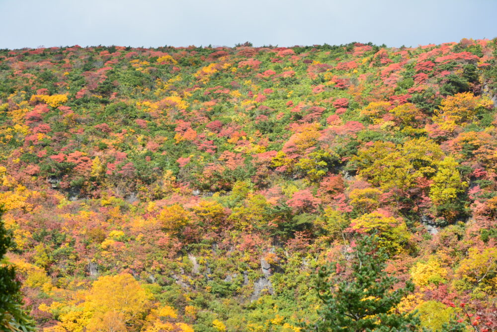 安達太良山の紅葉