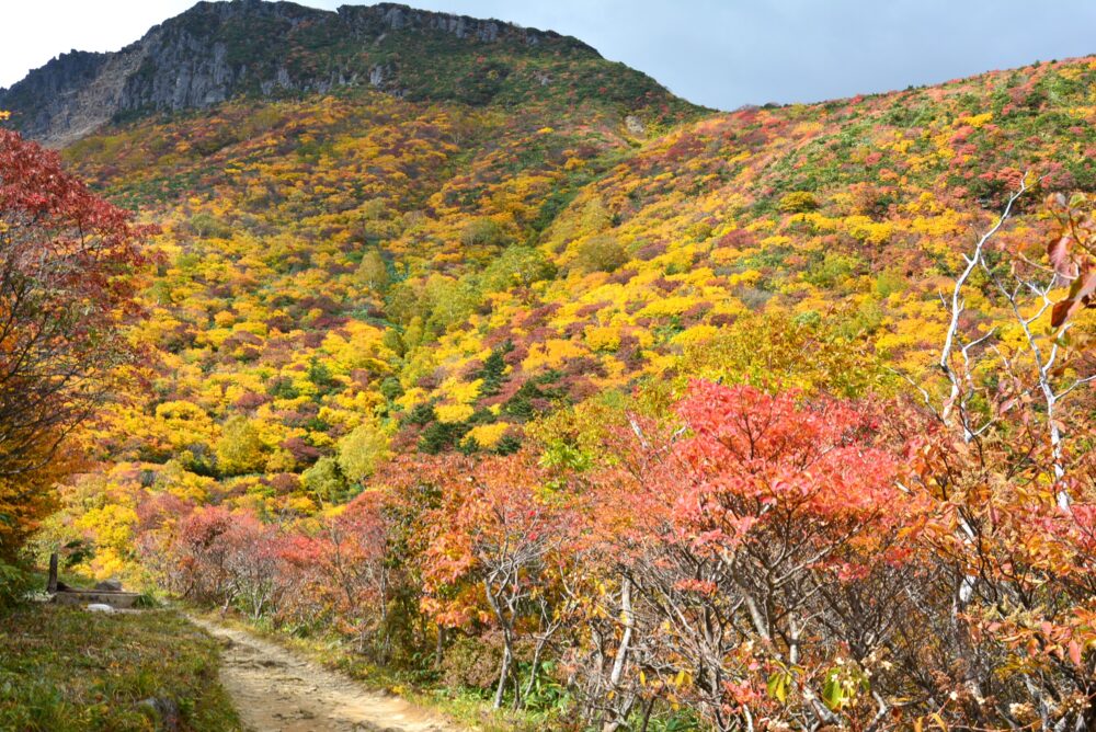 安達太良山の紅葉