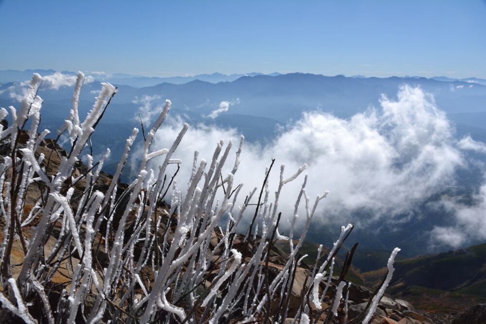 御嶽山の霧氷