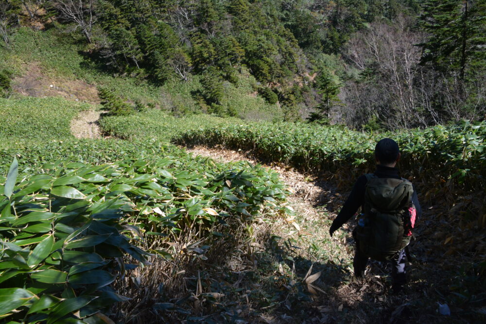 四阿山の嬬恋清水への道