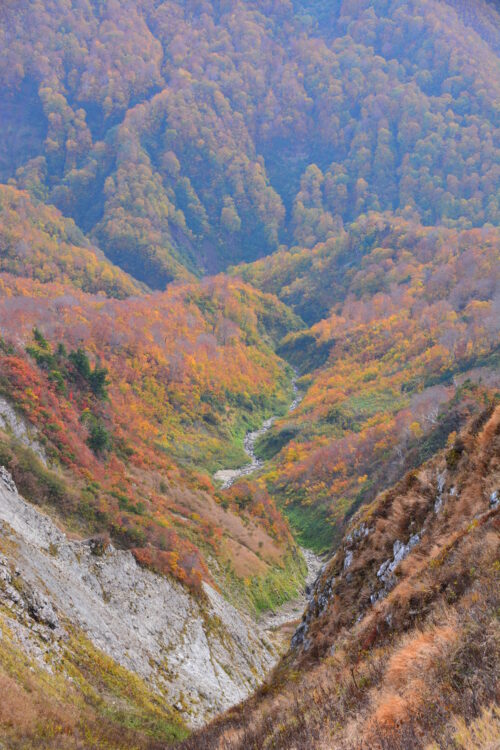 雨飾山山頂から見た荒菅沢