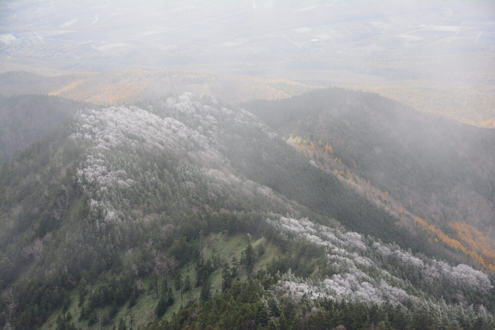 四阿山の霧氷