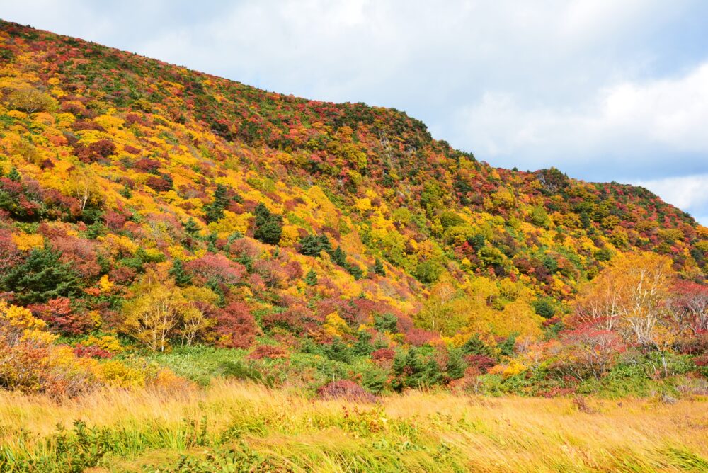 安達太良山の紅葉