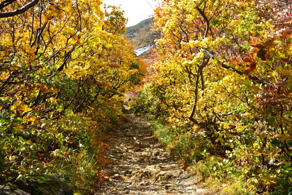 安達太良山の紅葉