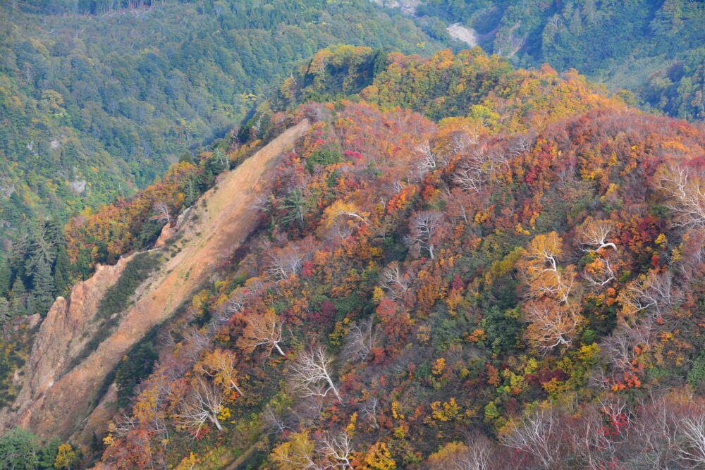 雨飾山の紅葉