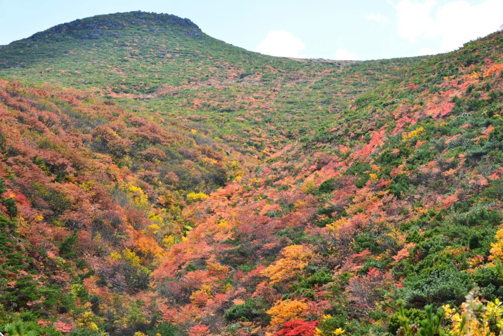 安達太良山の紅葉